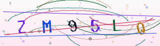 Verification code image