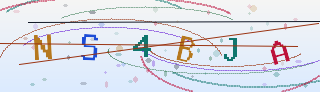 Verification code image