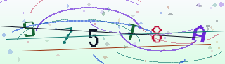 Verification code image