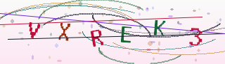 Verification code image